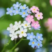藍⭐️プロフ必読⭐️まとめ買いでお値引きの画像