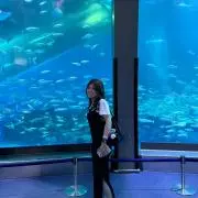 シーズーネコฅ^• ·̫ •^ฅ