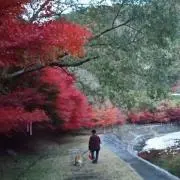 ひろ