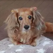 まろ