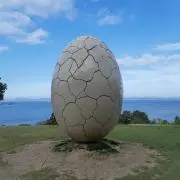 ぽでの画像