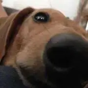たつー