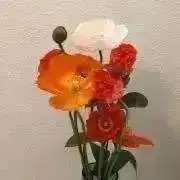 c_ma2