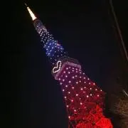 NANAの画像