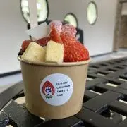 レモンサワーの画像