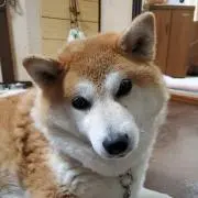 たーくん