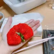 いちごの画像