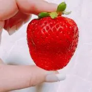 苺(プロフ必読)