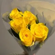 ゆーきの画像