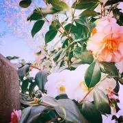 mats＊断捨離中