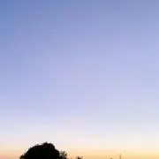 あおの画像
