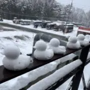 七味
