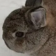minto  (プロフィール必読)の画像