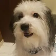 りきの画像