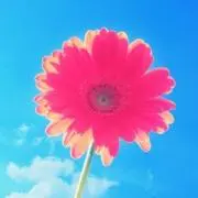 【断捨離中！】Nico ☺︎の画像