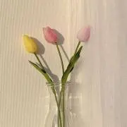 モコの画像