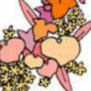 蝶羽プロフ必読の画像