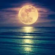 moon@フォロー割あり！プロフ必読