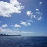 Cocoの画像