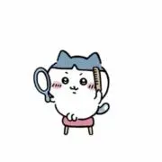 はちの画像