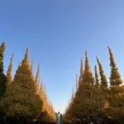 taka9の画像
