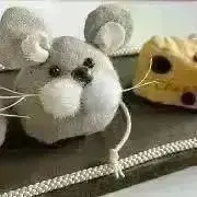 琥眞kmの画像
