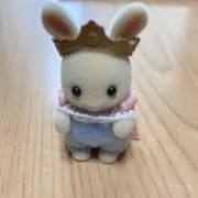 にんちゃんの画像