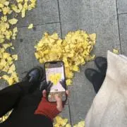 あおりんごの画像