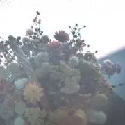 まるの画像