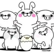 yy