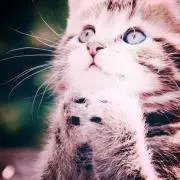 なっちん
