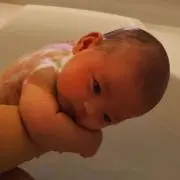 ジーコの画像