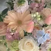 C&Lの画像