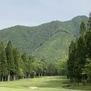 コリンモリカワの画像