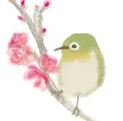 ことりの画像