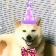 しばりゅう