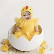 ストロベリーの画像