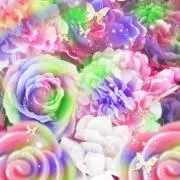 ぷらちゃん