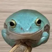 おりの画像