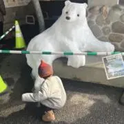 つみきの画像