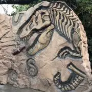 SYFの画像