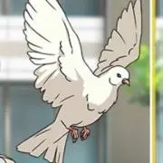 こたの画像