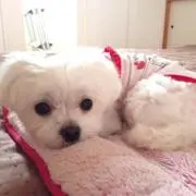 たかさんの画像