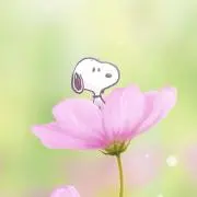 みっきー