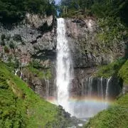 マウス【プロフ確認を！】の画像