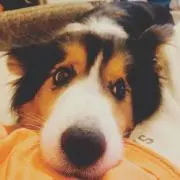 risaの画像