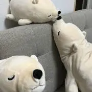 ジゴチーの画像