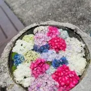 あーちゃん