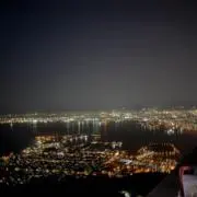 ちゃぴよの画像