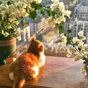Sの画像